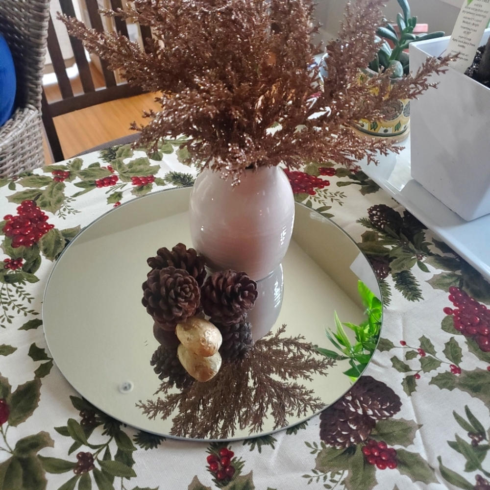 12" Centerpiece Circle Mirror